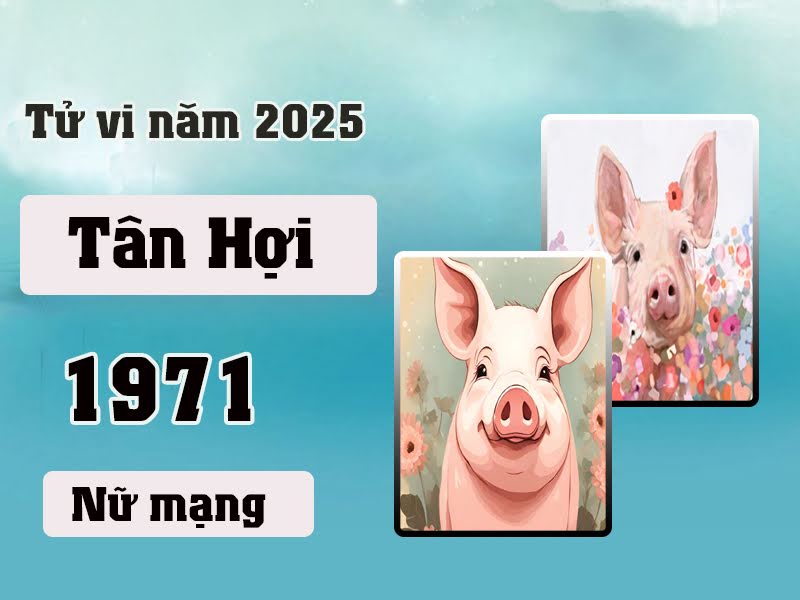 Phong Thủy Tuổi Tân Hợi Nữ: Tư Vấn Mọi Thứ Cần Biết Để Cuộc Sống Hạnh Phúc, Tài Lộc Thịnh Vượng