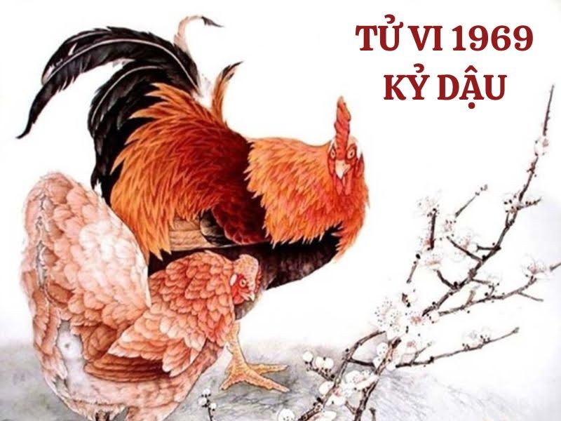 XEM TỬ VI TUỔI KỶ DẬU 1969 NĂM 2025 TÀI LỘC THUẬN LỢI