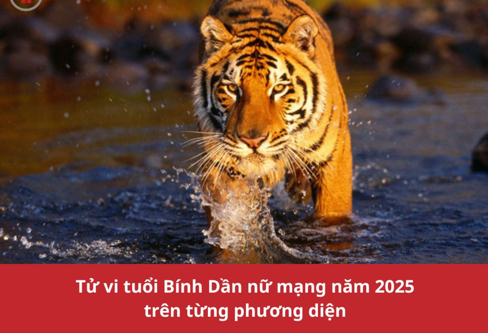 Tử vi 2025 tuổi Dần