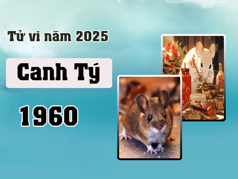 Tử vi 2025 tuổi Tý