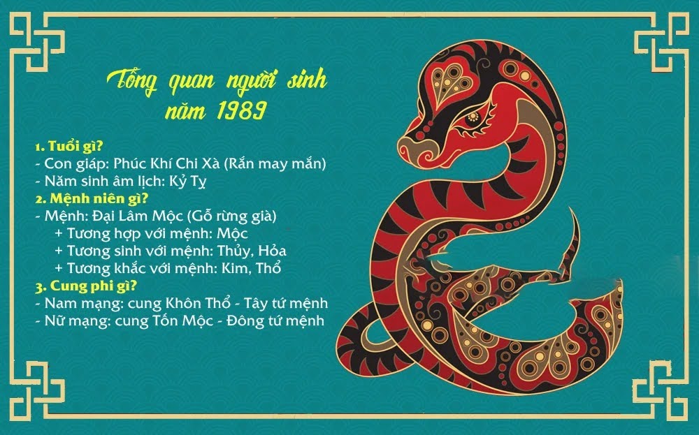 Tính Cách Người Tuổi Kỷ Tỵ: Những Đặc Điểm Nổi Bật và Tương Quan Trong Cuộc Sống