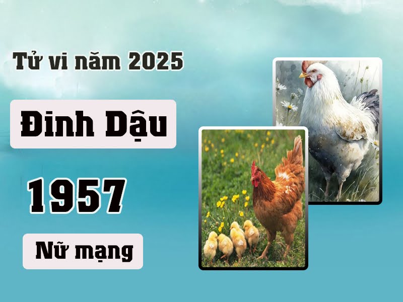 Hướng Nhà Tuổi Đinh Dậu Nữ: Bí Quyết Chọn Hướng Nhà Mang Lại Tài Lộc và Hạnh Phúc