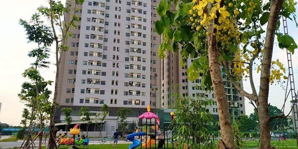 nhung-cau-hoi-thuong-gap-ve-chung-cu-osaka-complex-cho-nguoi-mua-lan-dau-tham-khao-onehousing-3