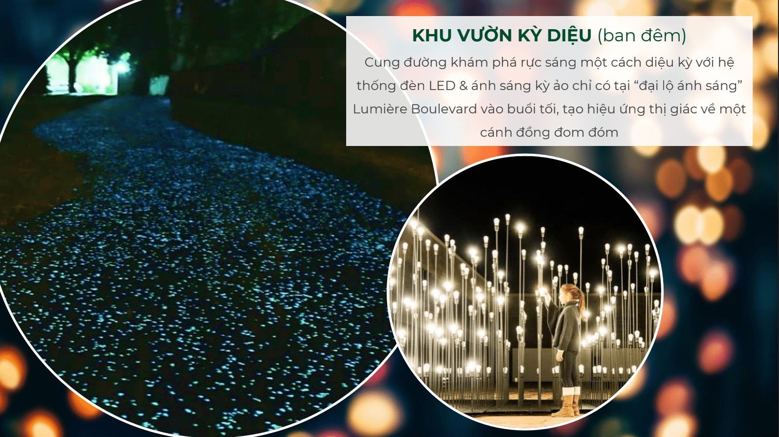 thong-tin-toa-c-lumiere-boulevard-gia-ban-mat-bang-chinh-sach-thanh-toan-n17t-onehousing-1