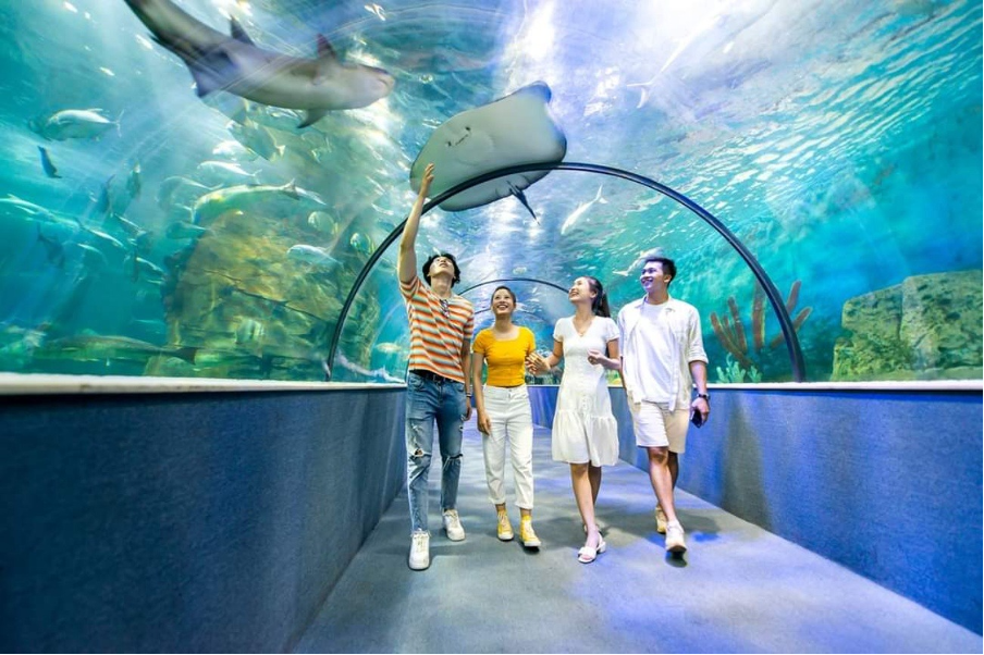 thuy cung Vinpearl Aquarium