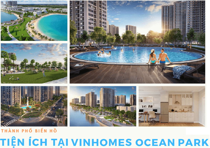 vinhomes-ocean-park-gia-lam-co-can-ho-duoi-30m2-nao-dang-cho-thue-khong-onehousing-3