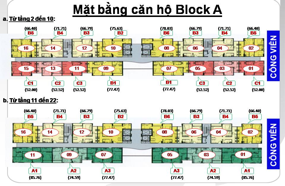 dien-tich-can-ho-chung-cu-lotus-garden-quan-tan-phu-la-bao-nhieu-m2-onehousing-3