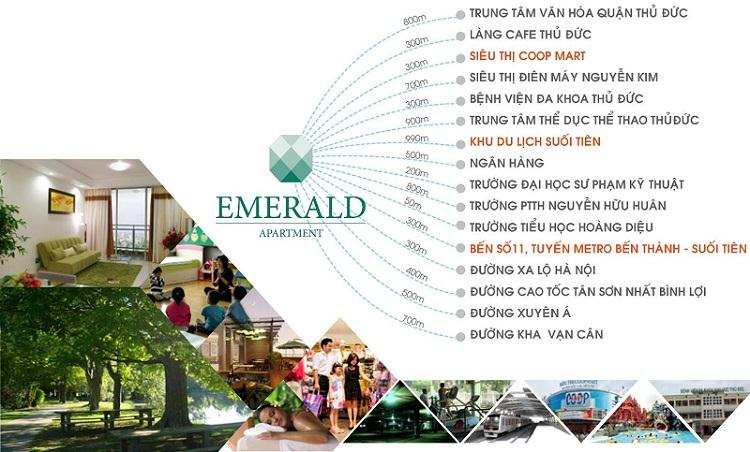 can-ho-chung-cu-emerald-apartment-co-dien-tich-bao-nhieu-m2-onehousing-2