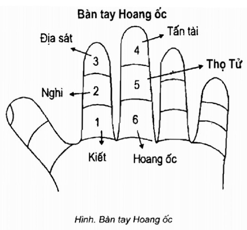 bao-nhieu-tuoi-lam-nha-dep-nhat-cach-tinh-tuoi-lam-nha-tot-nhat-onehousing-4