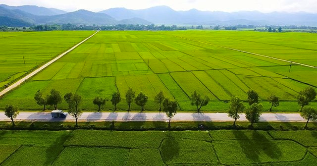 cap-nhat-ngay-dat-nong-nghiep-co-dien-tich-bao-nhieu-duoc-tach-thua-onehousing-3