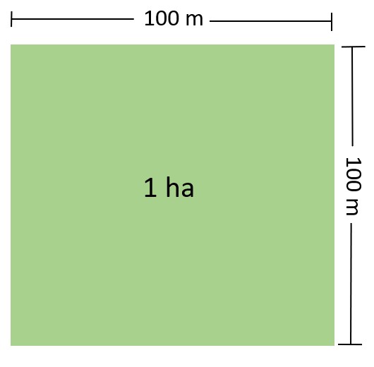 1ha-bang-bao-nhieu-m2-meo-quy-doi-ha-sang-cac-don-vi-do-khac-de-dang-nhat-n17t-onehousing-1