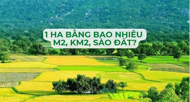 1ha-bang-bao-nhieu-m2-meo-quy-doi-ha-sang-cac-don-vi-do-khac-de-dang-nhat-n17t-onehousing-1