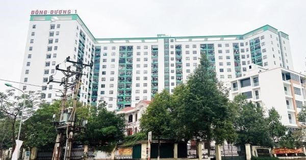 chung-cu-dong-duong-dia-chi-chinh-xac-o-dau-bac-ninh-tiem-nang-tu-vi-tri-onehousing-2