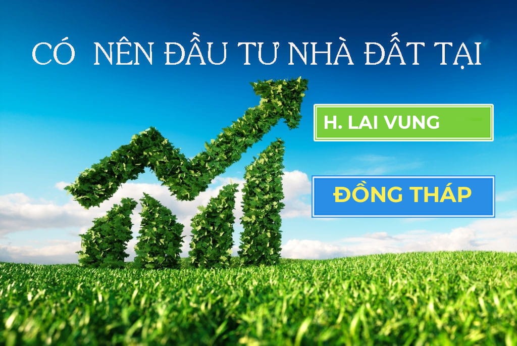 mua-ban-nha-dat-lai-vung-dong-thap-can-luu-y-dieu-gi-onehousing-4