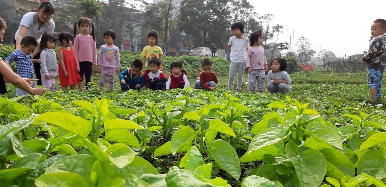 tsg-lotus-sai-dong-gan-nhung-truong-mam-non-nao-onehousing-8