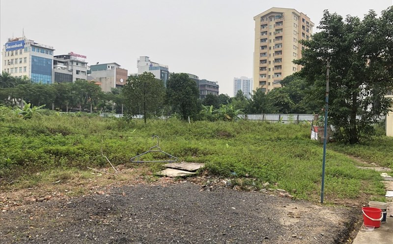 bo-hoang-dat-trong-cay-lau-nam-thi-bao-lau-se-bi-thu-hoi-onehousing-2