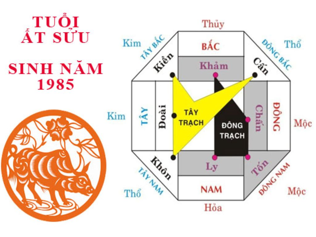 huong-xau-cho-nha-va-ban-tho-tuoi-at-suu-1985-la-huong-nao-onehousing-3