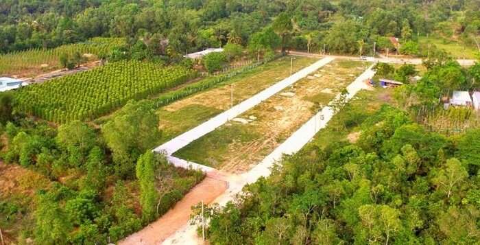 nguoi-dan-co-duoc-xay-nha-tam-tren-dat-trong-cay-lau-nam-khong-onehousing-3