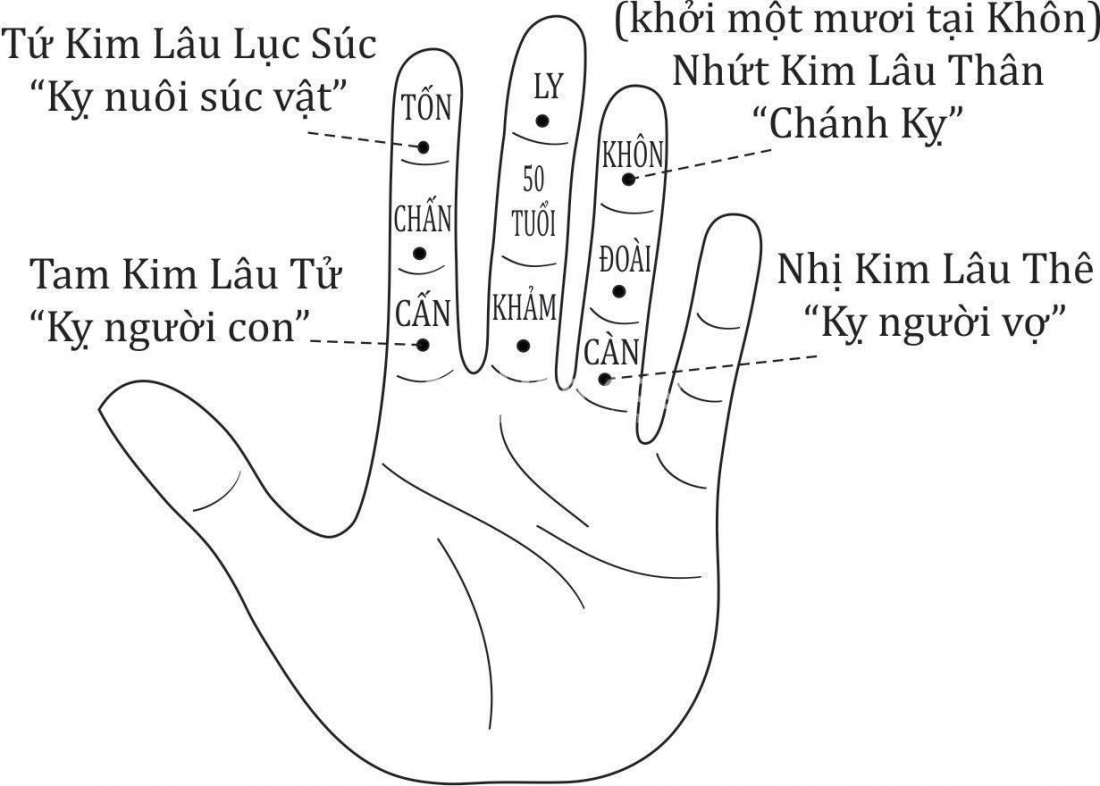 tuoi-dinh-mui-xay-nha-nam-2024-duoc-khong-onehousing-3