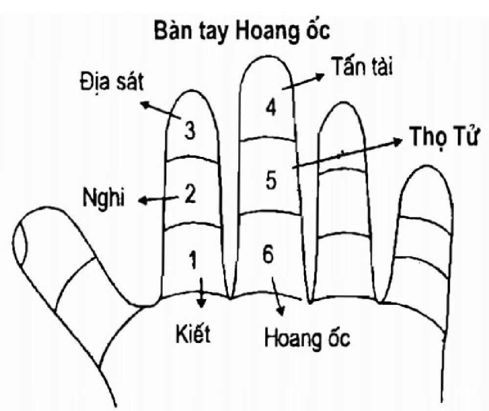 tuoi-dinh-mui-xay-nha-nam-2024-duoc-khong-onehousing-3