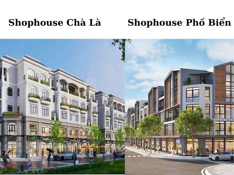 so-sanh-loi-the-kinh-doanh-cua-shophouse-phan-khu-pho-bien-vinhomes-ocean-park-3-va-phan-khu-cha-la-vinhomes-ocean-park-2-onehousing-3