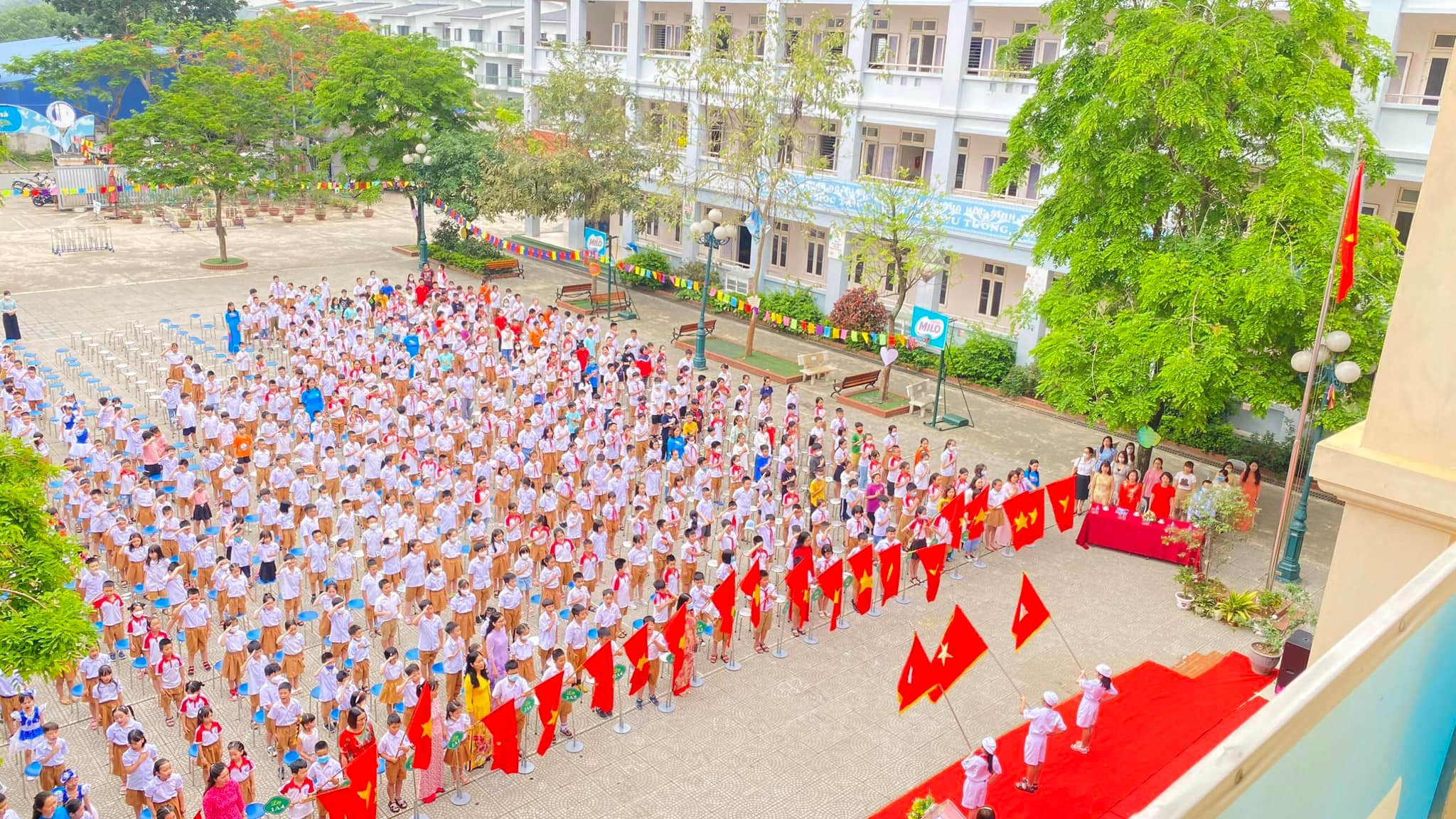 chung-cu-dolphin-plaza-gan-nhung-truong-tieu-hoc-nao-onehousing-6