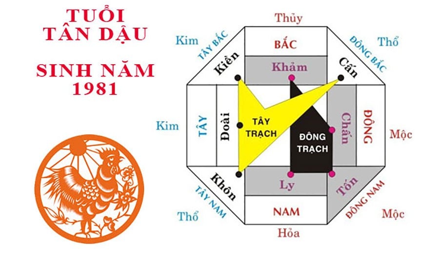 cach-bo-tri-nha-o-chuan-phong-thuy-cho-gia-chu-tuoi-tan-dau-sinh-nam-1981-n17t-onehousing-1