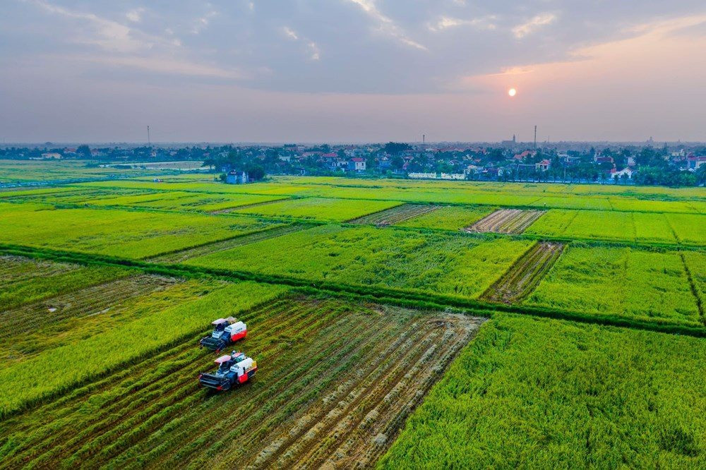 huong-dan-chi-tiet-tu-a-den-z-thu-tuc-thuc-hien-don-dien-doi-thua-moi-nhat-onehousing-1