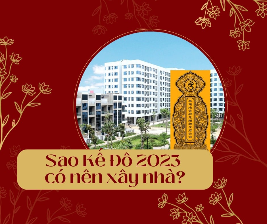 sao-ke-do-nam-2023-co-nen-xay-nha-n17t-onehousing-1
