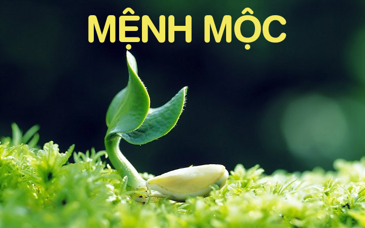 bat-mi-cach-dat-huong-guong-phong-ngu-cho-nguoi-menh-moc-onehousing-1
