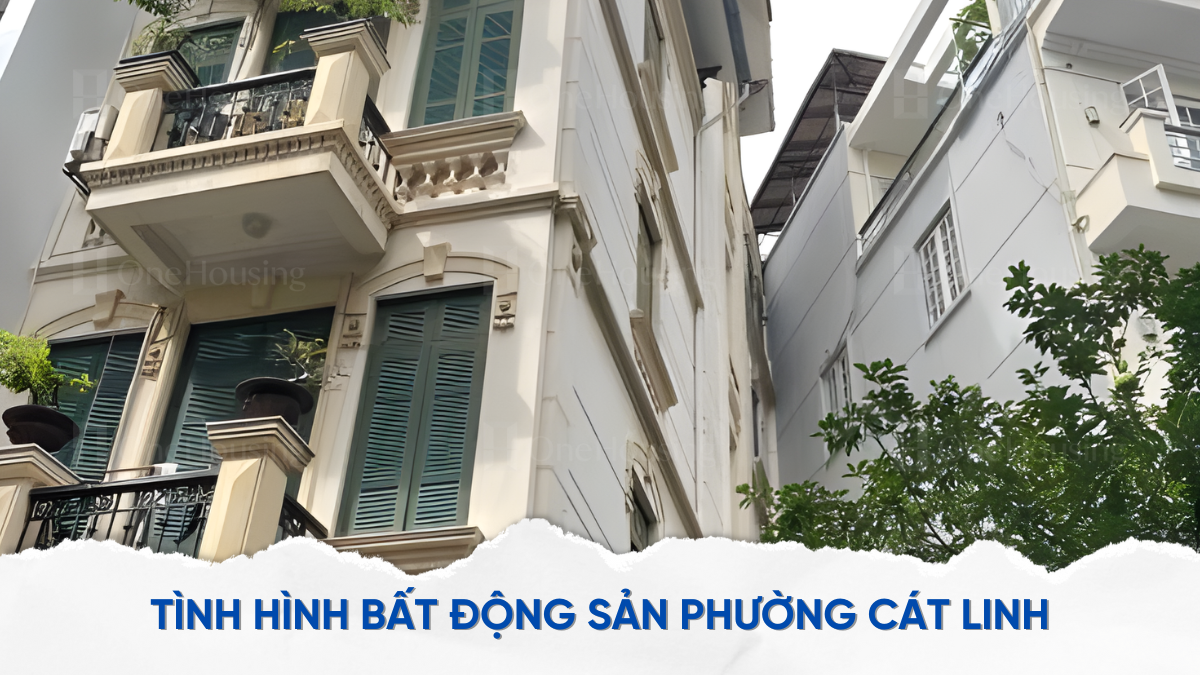 cap-nhat-gia-ban-nha-ngo-o-to-tai-phuong-cat-linh-quan-dong-da-onehousing-4