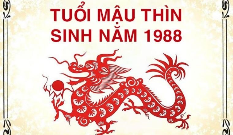 huong-dat-nha-ve-sinh-dung-phong-thuy-cho-gia-chu-tuoi-mau-thin-1988-onehousing-1