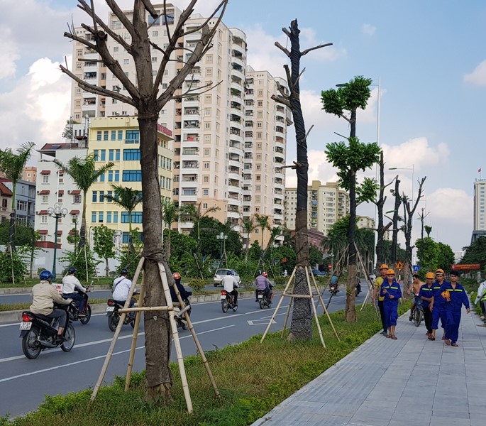 gia-ban-nha-rieng-nguyen-can-duong-tran-huu-duc-quan-nam-tu-liem-hien-tai-la-bao-nhieu-onehousing-1