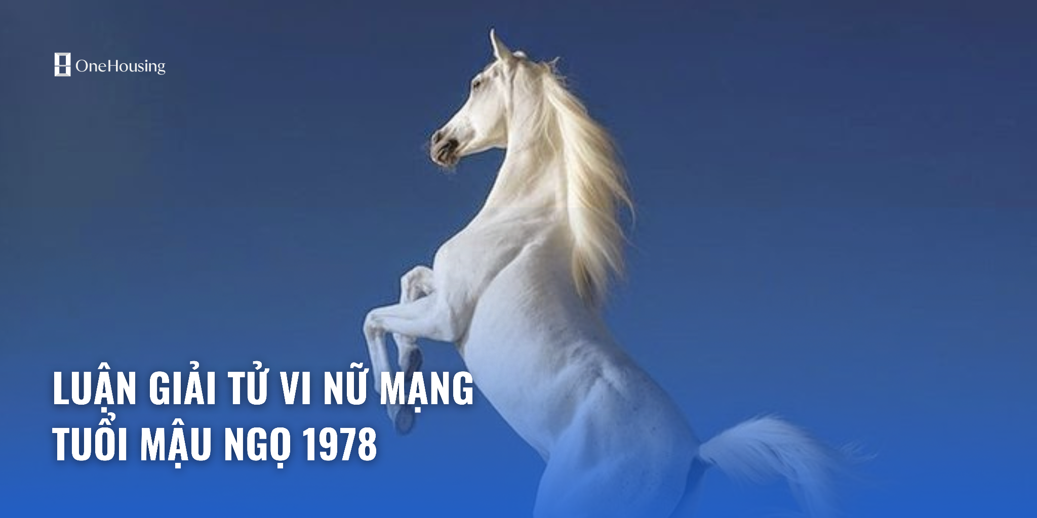 Luận giải tử vi nữ mạng tuổi Mậu Ngọ 1978 trong năm 2024