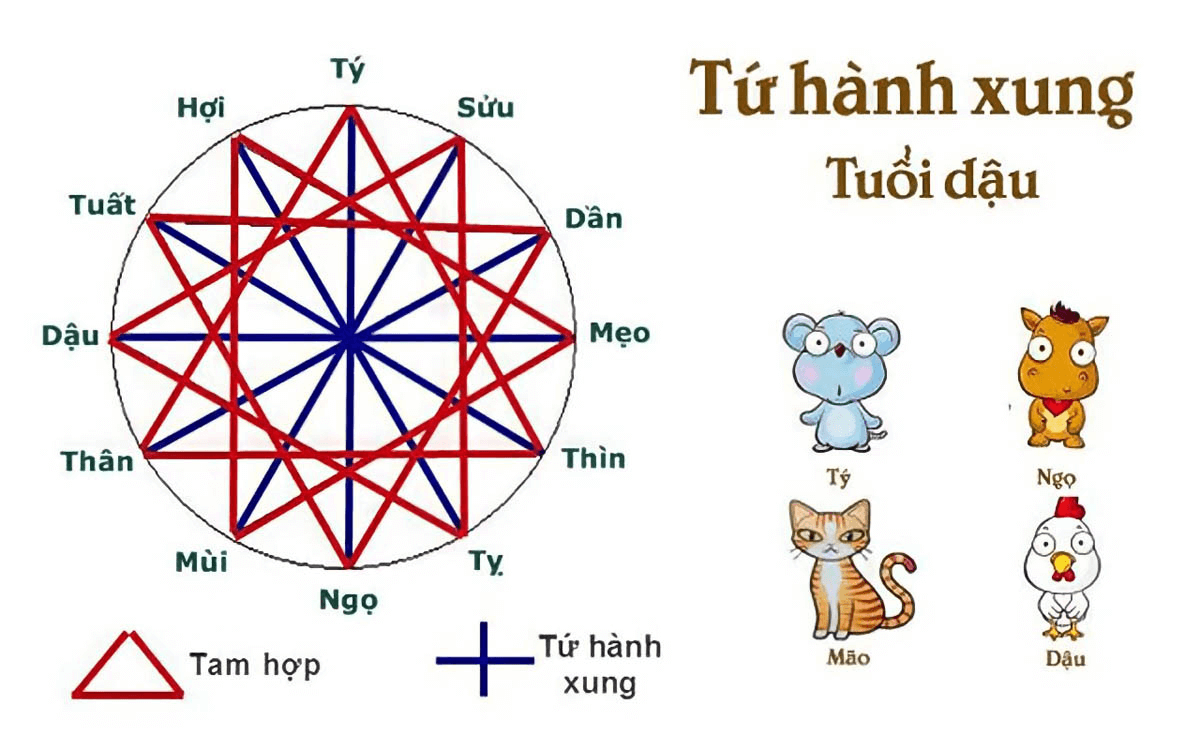 nam-2024-tuoi-nao-hop-xong-dat-cho-gia-chu-tuoi-dau-onehousing-4