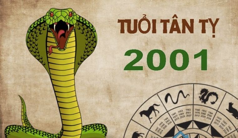 Tử Vi 2024 Tuổi Tân Tỵ 2001