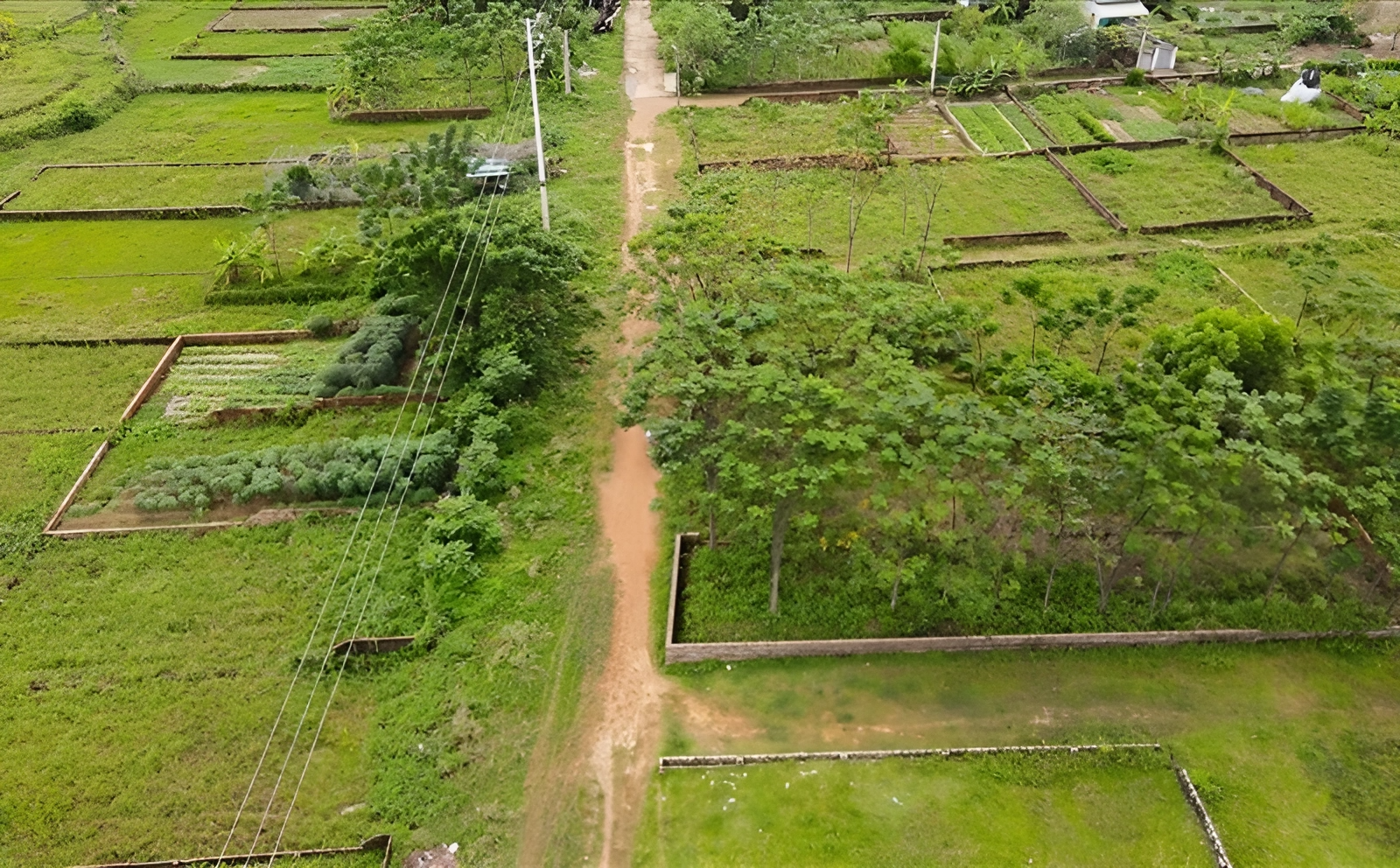 co-duoc-cap-so-do-voi-dat-on-dinh-tu-nam-1993-nhung-khong-co-giay-to-nao-khong-onehousing-1