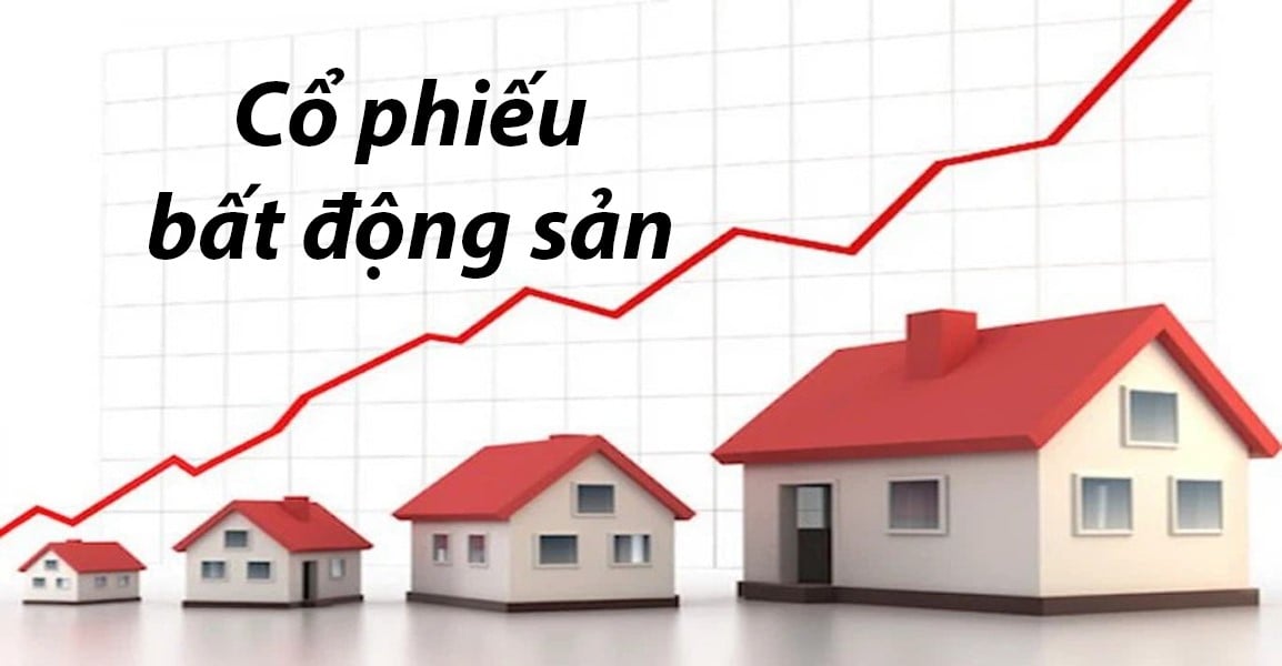 top-5-ma-co-phieu-bat-dong-san-tiem-nang-nam-2024-n17t-onehousing-1