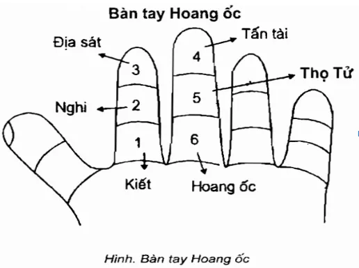 giai-ma-van-han-hoang-oc-xay-nha-nam-2024-co-nen-hay-khong-anh2