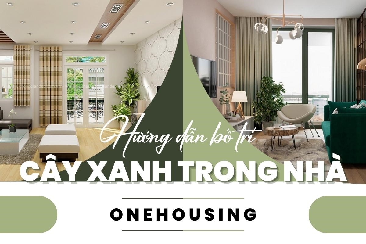 thu-hut-tai-loc-bang-cach-dat-cay-xanh-vao-6-vi-tri-sau-day-trong-nha-onehousing-1