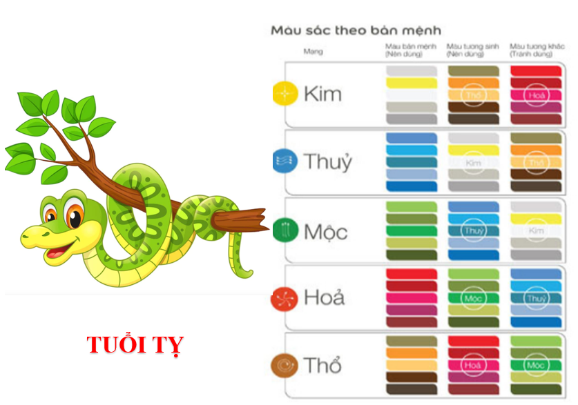 Tuổi Tân Tỵ 2001 nên sử dụng màu sắc nào để tăng cường vận khí trong năm 2024? | OneHousing