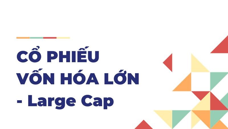 co-phieu-large-cap-bluechip-mid-cap-small-cap-penny-la-gi-onehousing-1