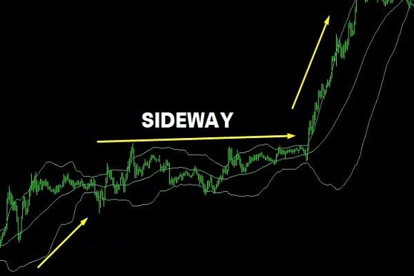 su-dung-chi-bao-bollinger-band-dau-tu-chung-khoan-hieu-qua-onehousing-2