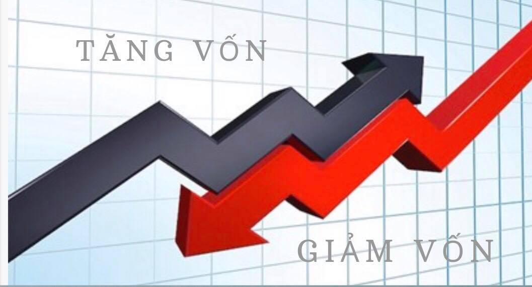 tim-hieu-von-dieu-le-va-tac-dong-tu-viec-tang-hay-giam-von-dieu-le-den-hoat-dong-kinh-doanh-cua-doanh-nghiep-anh3