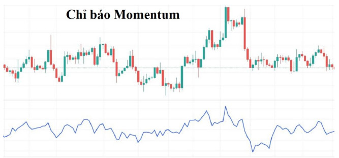 chi-bao-momentum-va-cach-su-dung-hieu-qua-trong-dau-tu-chung-khoan-onehousing-1