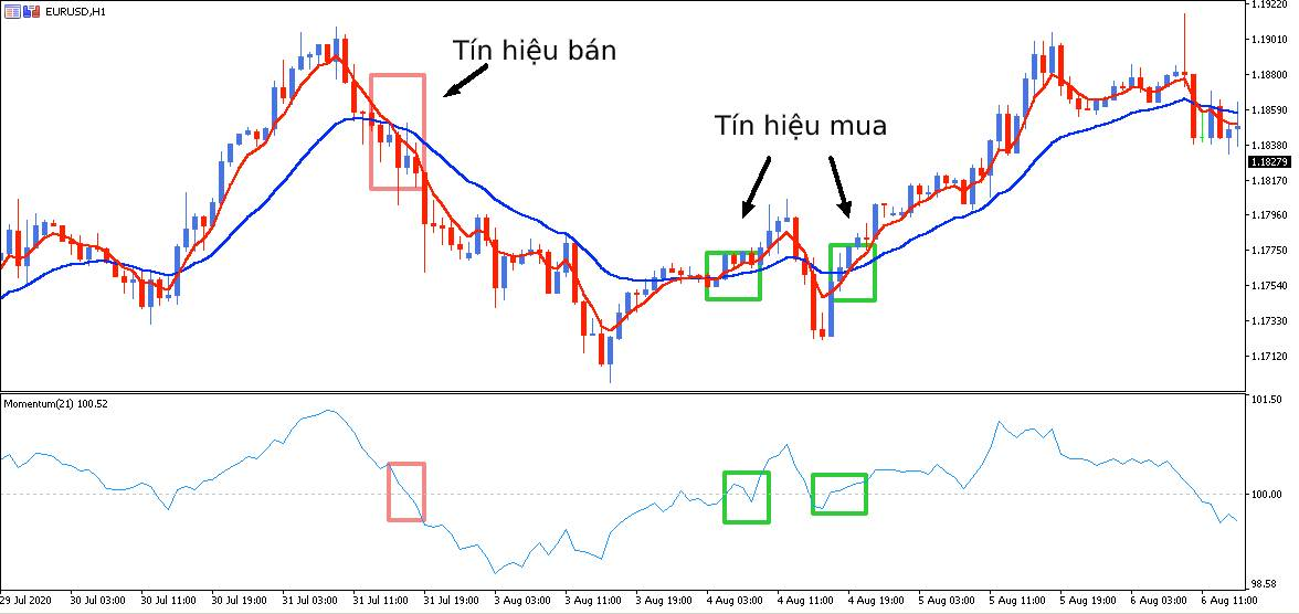 chi-bao-momentum-va-cach-su-dung-hieu-qua-trong-dau-tu-chung-khoan-onehousing-3