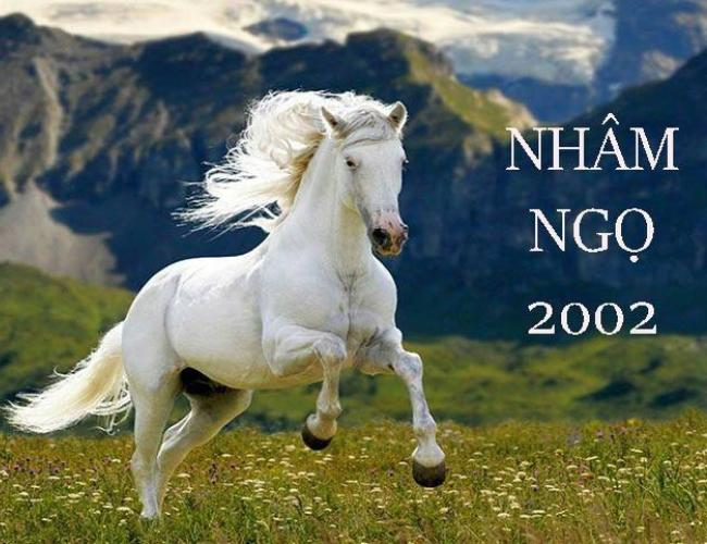 ngay-tot-thang-11-nam-2024-de-lam-moi-viec-thuan-loi-suon-se-cho-nguoi-sinh-nam-2002-nham-ngo-anh1