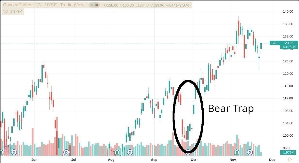 bear-trap-va-cach-ung-pho-khi-gap-bear-trap-onehousing-2