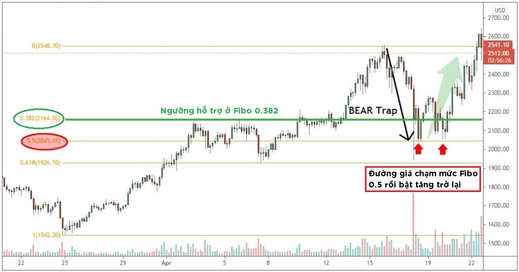 bear-trap-va-cach-ung-pho-khi-gap-bear-trap-onehousing-3