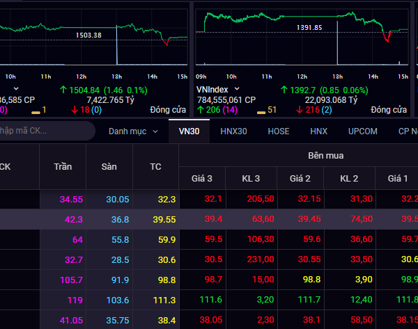 chi-so-vn-index-va-chi-so-vnmidcap-co-diem-gi-khac-nhau-onehousing